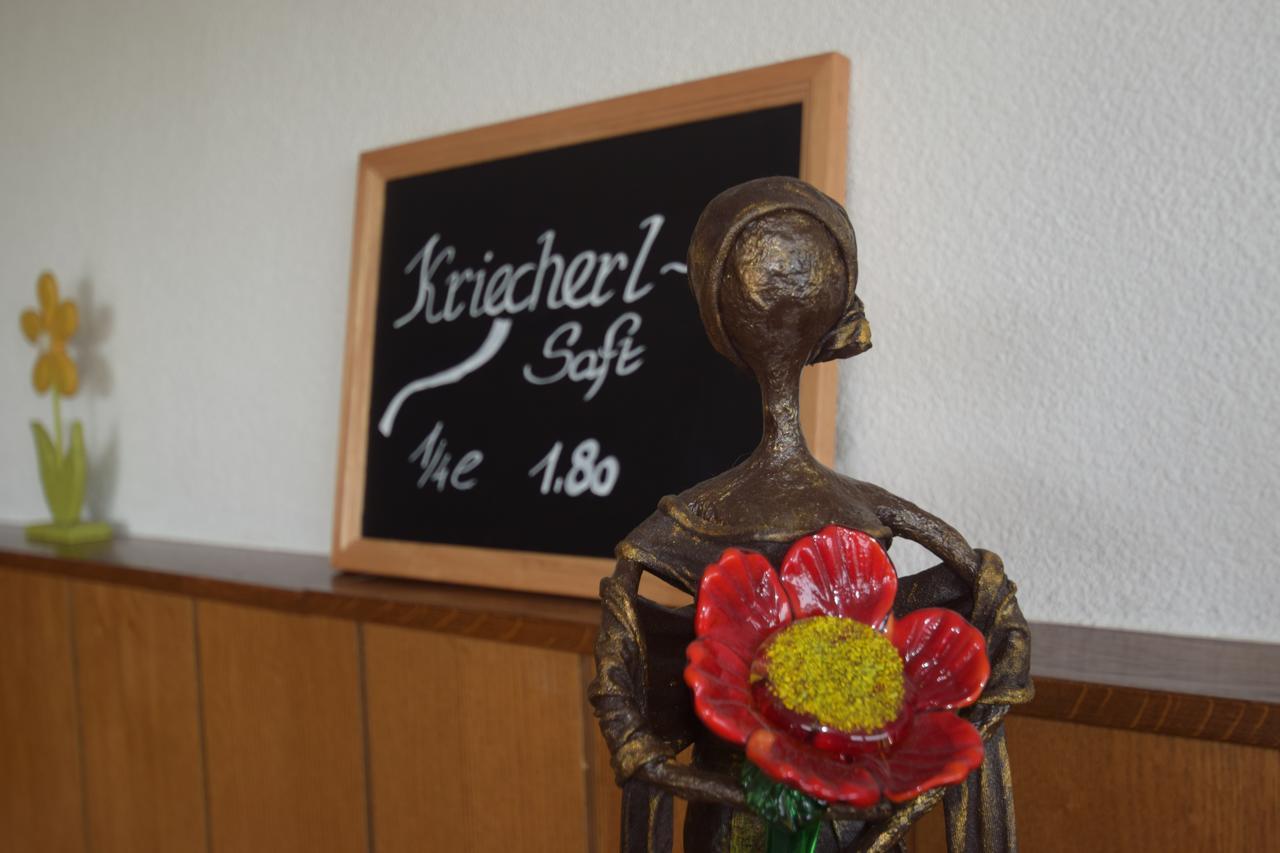 Gasthaus Donaublick Leiben Buitenkant foto